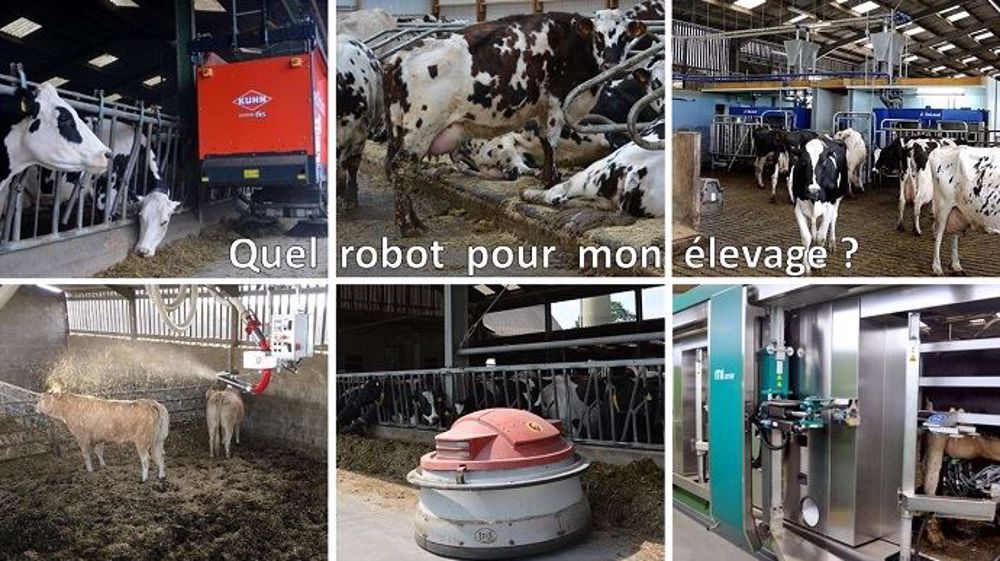 Automatiser le travail en élevage : quelles tâches et pour quels coûts ?