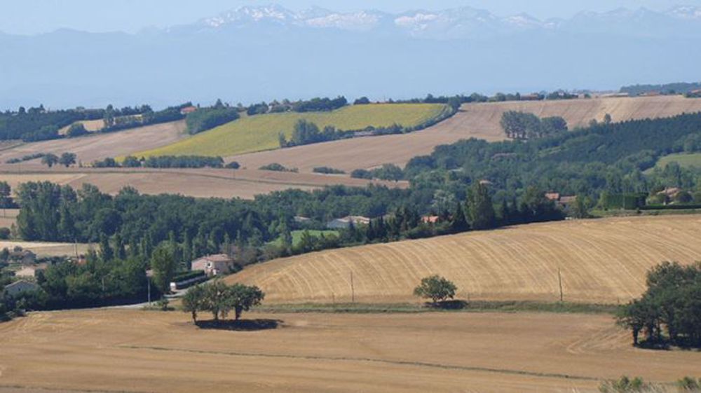 Les niveaux 2 et 3 de la certification environnementale font l’objet d’une certification valable 3 ans. (©Arvalis-Institut du végétal)