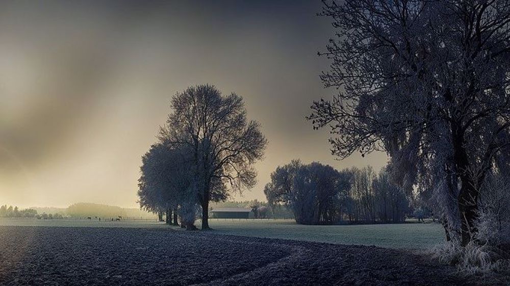 Le mois de novembre s'annonce assez brumeux sur le pays. (©Pixabay)