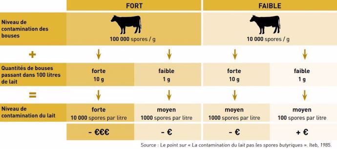 Contamination du lait par les spores butyriques