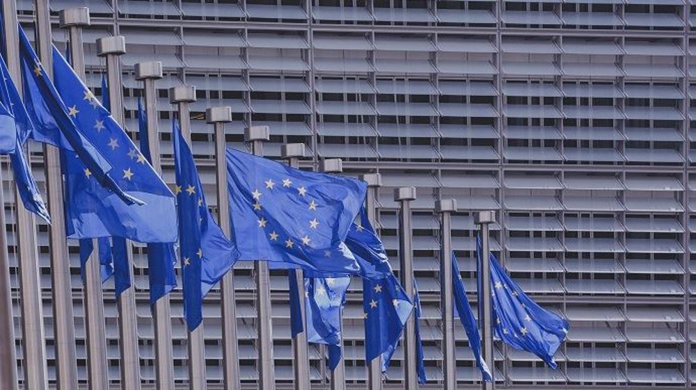 Les eurodéputés ont voté les rapports de la future Pac ce vendredi 23 octobre 2020. (©Pixabay)