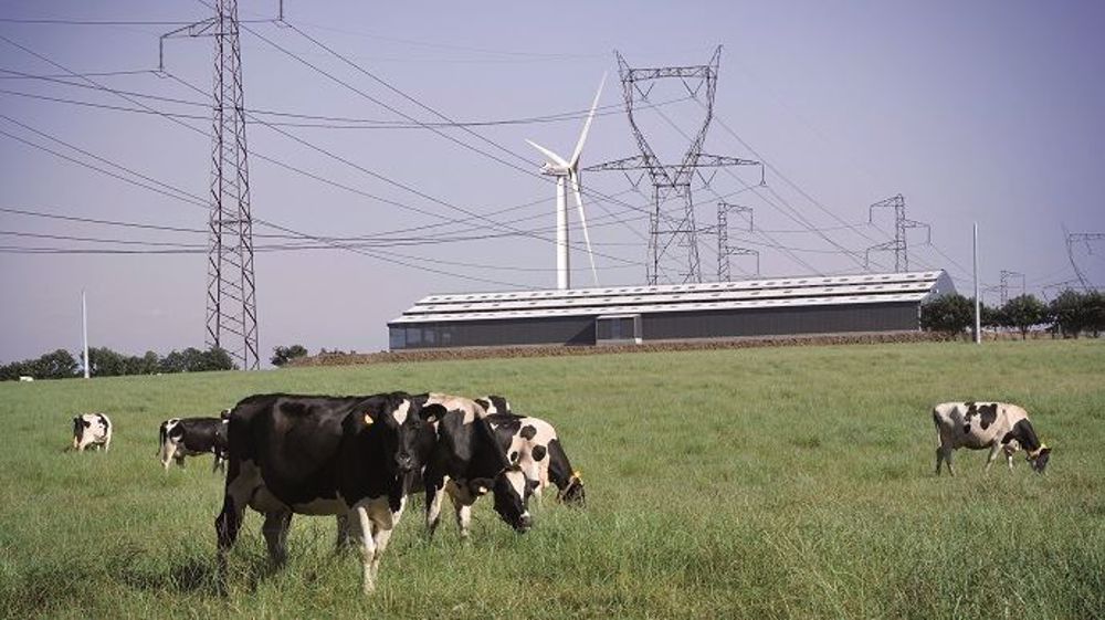 Soyons honnêtes : notre photo est un montage ! Pour autant, si les lignes à hautes tensions ou encore les éoliennes implantées à proximité peuvent perturber le troupeau, ne sous-estimons pas les courants parasites et défauts électriques de l'élevage lui-même ! (©Terre-net Média)