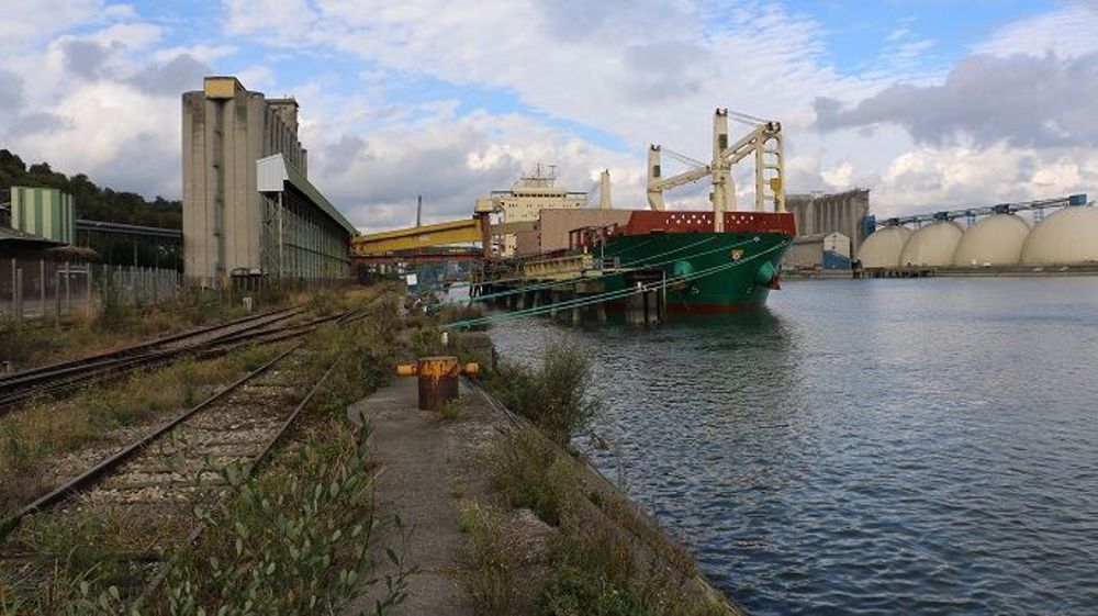 Déjà 33,2 Mt de maïs et 48,5 Mt de colza contractualisées pour l'exportation aux USA sur la campagne 2020/21. (©Terre-net Média)