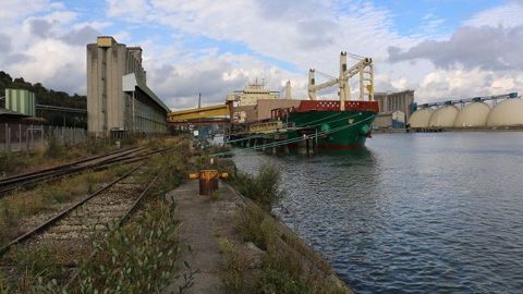 Déjà 33,2 Mt de maïs et 48,5 Mt de colza contractualisées pour l'exportation aux USA sur la campagne 2020/21. (©Terre-net Média)