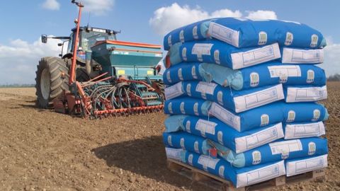 « Les responsables des usines de production de semences de lin sont optimistes pour la prochaine campagne », précise le Gnis. (©Gnis) « Les responsables des usines de production de semences de lin sont optimistes pour la prochaine campagne », précise le Gnis. (©Gnis)
