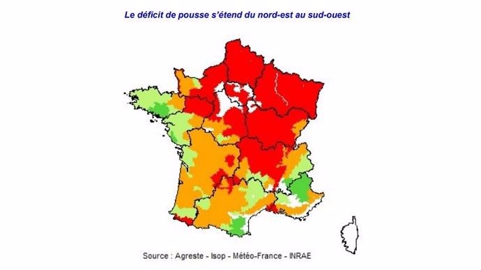 Pousse de l'herbe au 20 octobre 2020
