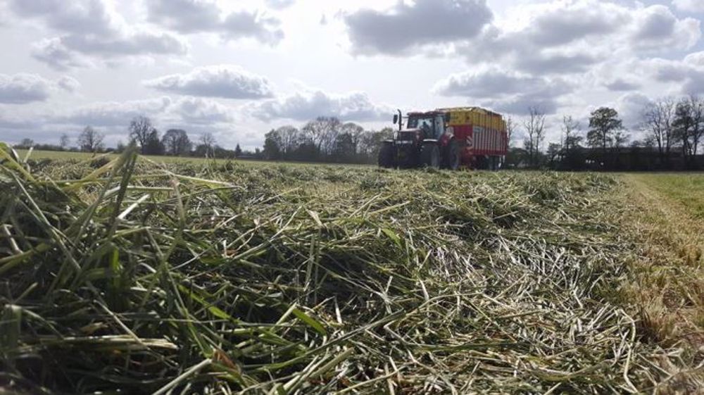 « Même performant, le système fourrager doit être remis en cause régulièrement »