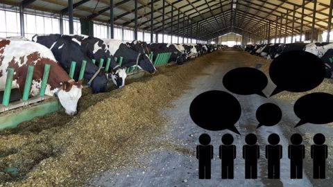 288 commentaires sous l'article annonçant la fermeture des 1000 vaches, plus de 300 sur Facebook... Le moins qu'on puisse dire, c'est que l'annonce vous a fait réagir ! (©Terre-net Média) 288 commentaires sous l'article annonçant la fermeture des 1000 vaches, plus de 300 sur Facebook... Le moins qu'on puisse dire, c'est que l'annonce vous a fait réagir ! (©Terre-net Média)