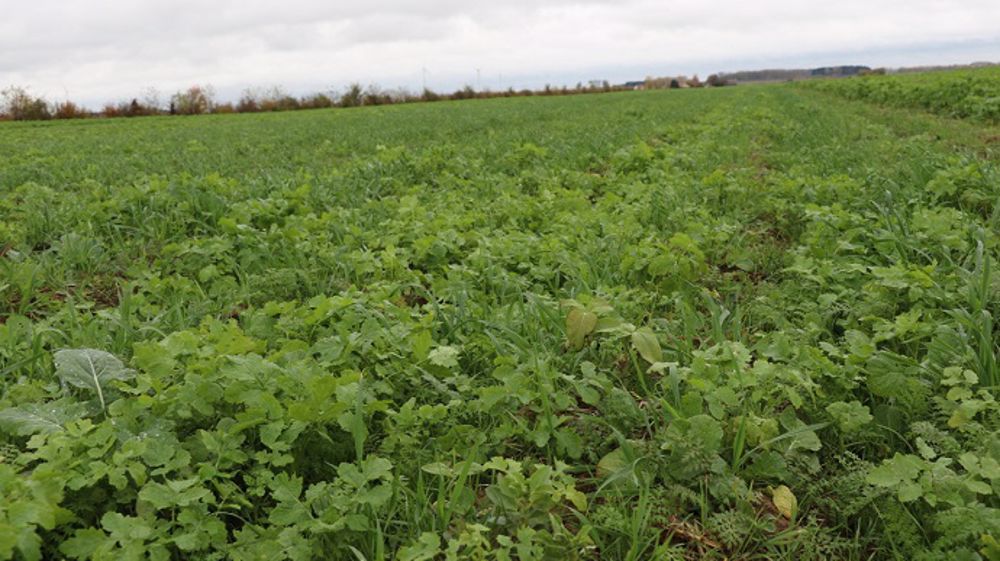 200 agriculteurs et 30 000 ha sont déjà labellisés "Au cœur des sols". (©Terre-net Média)