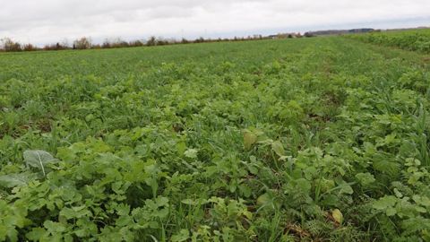 200 agriculteurs et 30 000 ha sont déjà labellisés "Au cœur des sols". (©Terre-net Média)