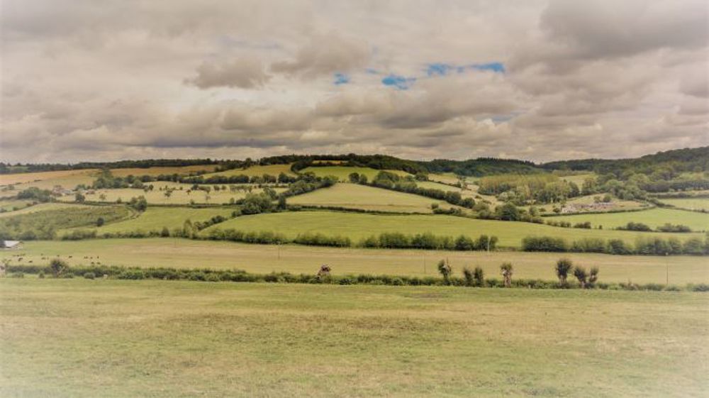 Bien qu'engagées dans la transition, les coopératives ont besoin d'un soutien plus massif en cette période de crise, estime la Coopération agricole. (©Pixabay)
