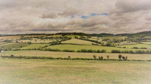 Bien qu'engagées dans la transition, les coopératives ont besoin d'un soutien plus massif en cette période de crise, estime la Coopération agricole. (©Pixabay) Bien qu'engagées dans la transition, les coopératives ont besoin d'un soutien plus massif en cette période de crise, estime la Coopération agricole. (©Pixabay)