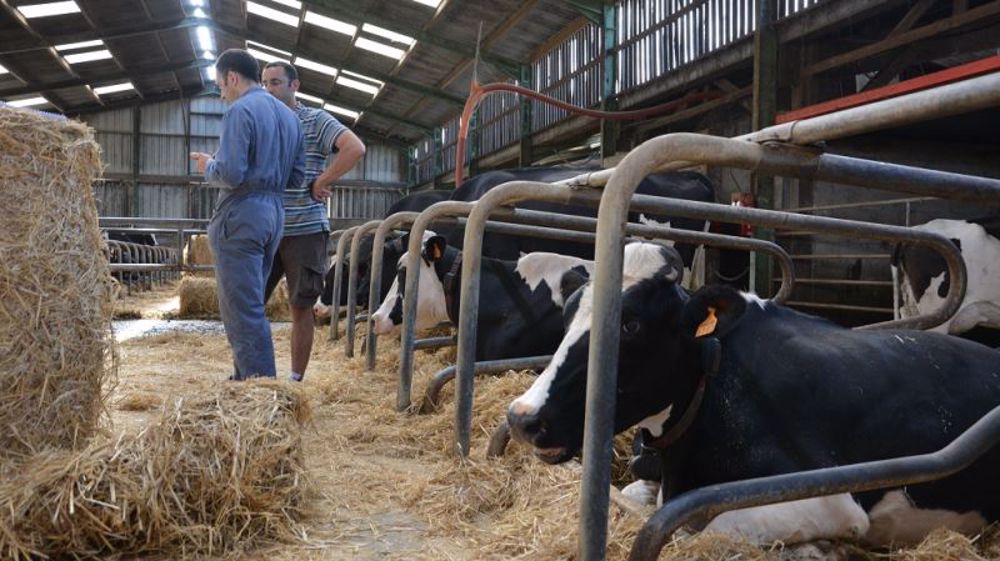 L'un des conseils les plus importants pour bien travailler avec ses salariés agricoles : communiquer ! (©Terre-net Média)