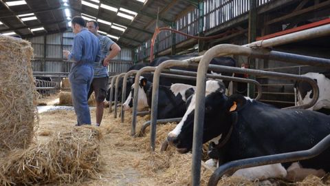 L'un des conseils les plus importants pour bien travailler avec ses salariés agricoles : communiquer ! (©Terre-net Média) L'un des conseils les plus importants pour bien travailler avec ses salariés agricoles : communiquer ! (©Terre-net Média)