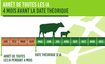 Arrêt des IA 4 mois avant la date théorique.