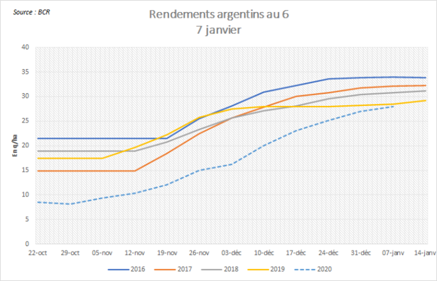 Rendements des blés argentins.