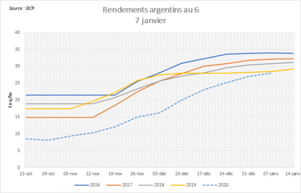 Rendements des blés argentins.