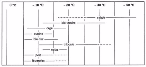 Niveaux maxima de r&eacute;sistances au froid et variabilit&eacute; g&eacute;n&eacute;tique chez diff&eacute;rentes esp&egrave;ces