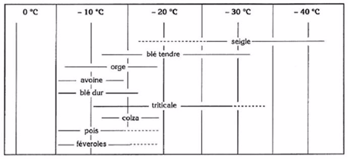 Niveaux maxima de résistances au froid et variabilité génétique chez différentes espèces