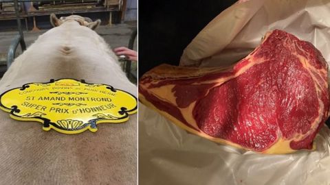 Chez Anthony (18), des Charolaises vendues en boucherie, caissettes et foodtruck Chez Anthony (18), des Charolaises vendues en boucherie, caissettes et foodtruck