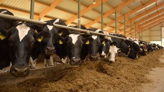 Un kilo de lait coûte 46,69 centimes d'euros à produire pour nos voisins allemands. Au vu du prix du lait, il leur manquait en 2020 14,05 centimes/kg pour couvrir leurs coûts. (©Terre-net Média) Un kilo de lait coûte 46,69 centimes d'euros à produire pour nos voisins allemands. Au vu du prix du lait, il leur manquait en 2020 14,05 centimes/kg pour couvrir leurs coûts. (©Terre-net Média)