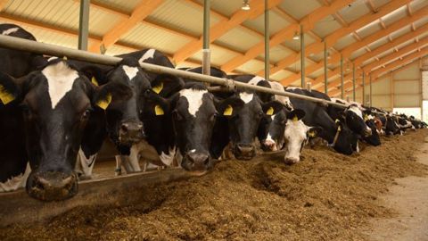 Un kilo de lait coûte 46,69 centimes d'euros à produire pour nos voisins allemands. Au vu du prix du lait, il leur manquait en 2020 14,05 centimes/kg pour couvrir leurs coûts. (©Terre-net Média) Un kilo de lait coûte 46,69 centimes d'euros à produire pour nos voisins allemands. Au vu du prix du lait, il leur manquait en 2020 14,05 centimes/kg pour couvrir leurs coûts. (©Terre-net Média)