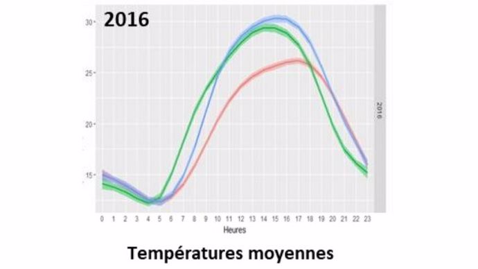 Effet des arbres sur la température