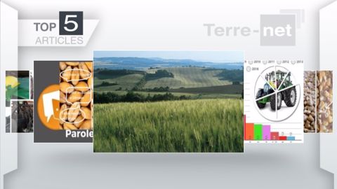 Articles les plus lus sur Terre-net cette semaine. (©Terre-net Média) Articles les plus lus sur Terre-net cette semaine. (©Terre-net Média)