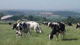 Les initiatives de portage de foncier agricole, qui fleurissent un peu partout en France, mériteraient d'être mutualisées et harmonisées. (©Terre-net Média) Les initiatives de portage de foncier agricole, qui fleurissent un peu partout en France, mériteraient d'être mutualisées et harmonisées. (©Terre-net Média)