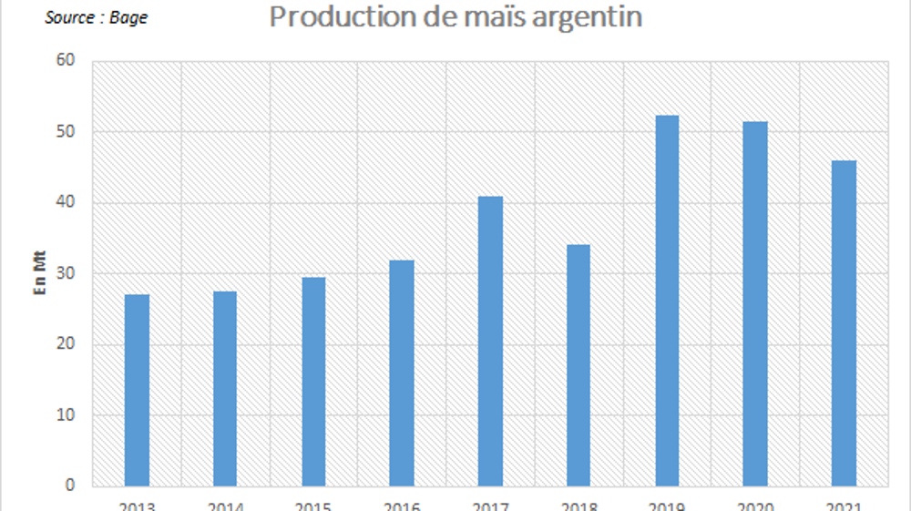 Production argentine de maïs.