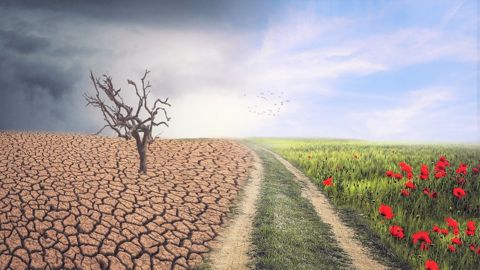 Le plan de relance propose une aide pour investir dans des équipements plus performants dans la lutte contre le changement climatique (©Pixabay)