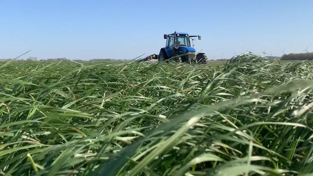 Viser la quantité ou la qualité ? Si le choix doit plutôt se porter sur la qualité (et donc une récolte précoce de l'herbe), tout dépend de l'exploitation. Le principal : bien calculer son besoin pour ne pas manquer de fourrage. (©Terre-net Média)