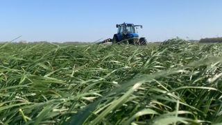 Viser la quantité ou la qualité ? Si le choix doit plutôt se porter sur la qualité (et donc une récolte précoce de l'herbe), tout dépend de l'exploitation. Le principal : bien calculer son besoin pour ne pas manquer de fourrage. (©Terre-net Média) Viser la quantité ou la qualité ? Si le choix doit plutôt se porter sur la qualité (et donc une récolte précoce de l'herbe), tout dépend de l'exploitation. Le principal : bien calculer son besoin pour ne pas manquer de fourrage. (©Terre-net Média)