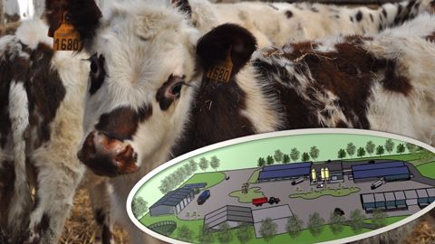 À Mauron (56), bientôt une station de 480 places avec accès plein air À Mauron (56), bientôt une station de 480 places avec accès plein air