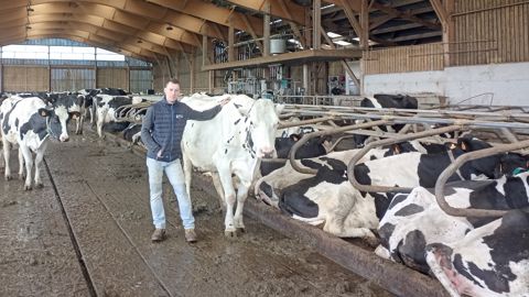 Baptiste Tuloup a opté pour 134 places de logettes en sable dans sa nouvelle stabulation vaches laitières. (©Terre-net Média) Baptiste Tuloup a opté pour 134 places de logettes en sable dans sa nouvelle stabulation vaches laitières. (©Terre-net Média)