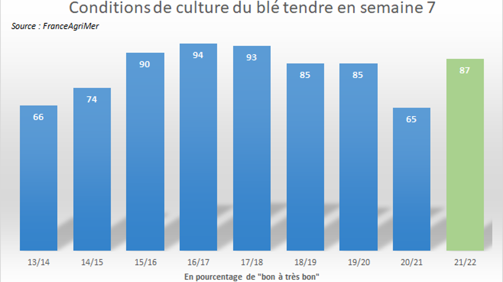 Taux de blé d'hiver "bon à excellent" selon FAM.