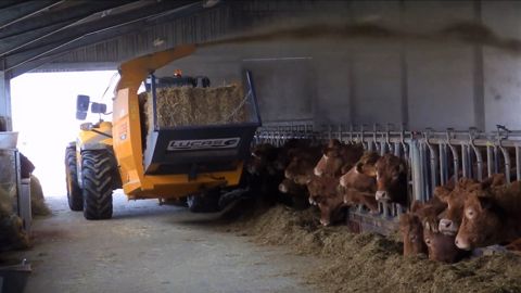 Un JCB série III et une Lucas Raptor au paillage en élevage allaitant Un JCB série III et une Lucas Raptor au paillage en élevage allaitant