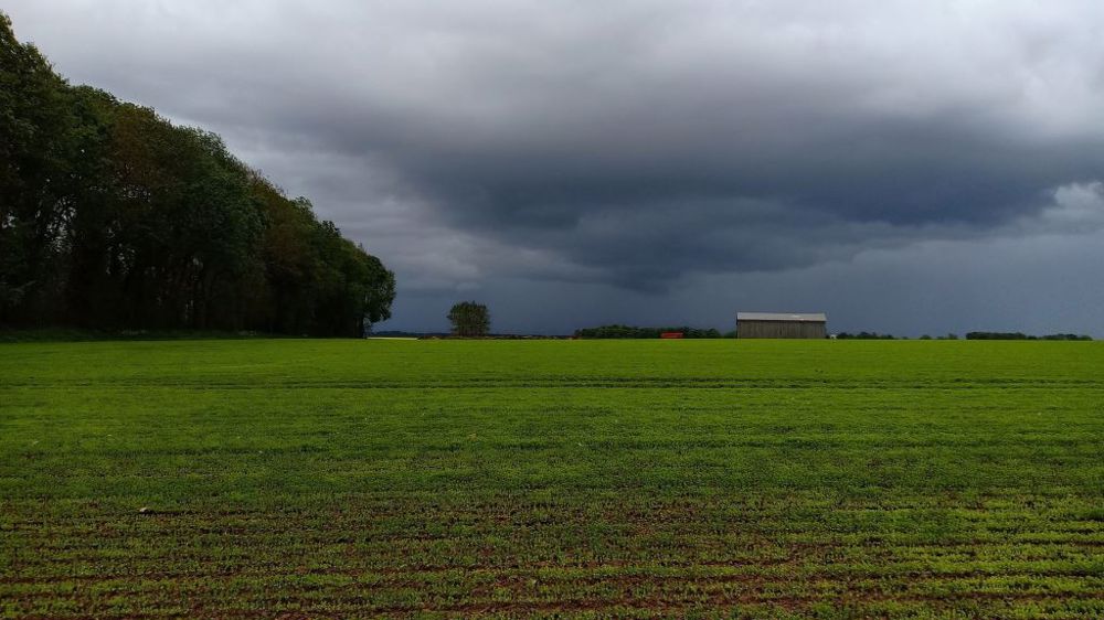 Le début du printemps ne s'annonce pas très printanier. (©Pixabay)