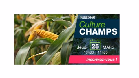 <a href="https://attendee.gotowebinar.com/register/2868762589844951824?source=art" title="Inscription au webinaire" target="_blank">Inscrivez-vous au webinar Culture champs</a> pour découvrir les techniques de culture durables du maïs. (©Bayer) <a href="https://attendee.gotowebinar.com/register/2868762589844951824?source=art" title="Inscription au webinaire" target="_blank">Inscrivez-vous au webinar Culture champs</a> pour découvrir les techniques de culture durables du maïs. (©Bayer)