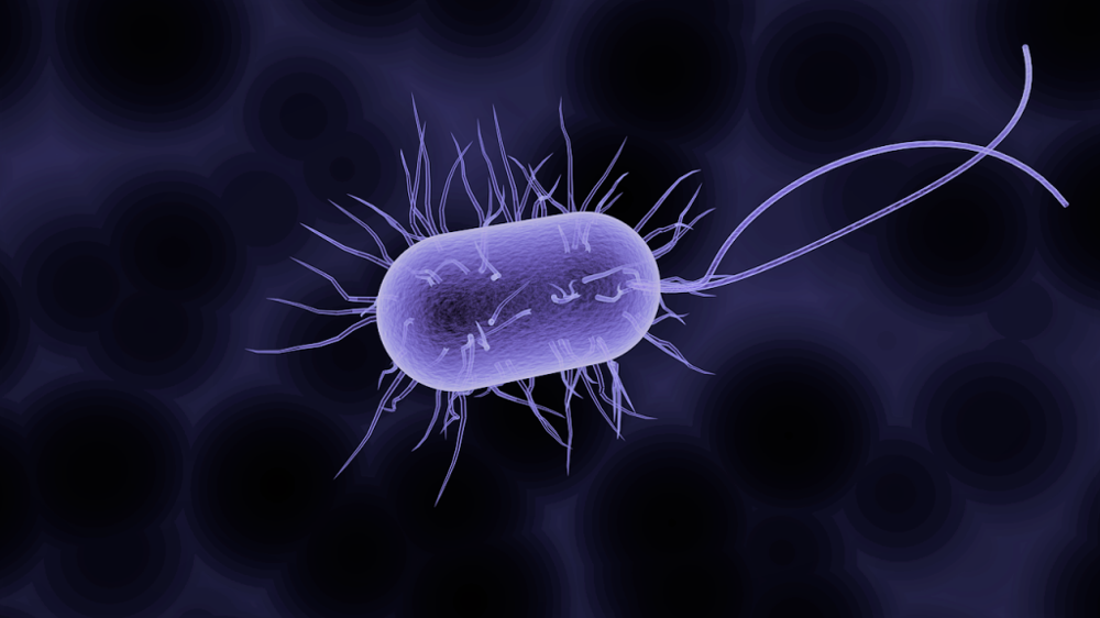 Avec l'augmentation de l'antibiorésistance, une bactérie résistante pourrait provoquer une nouvelle pandémie dans les prochaines années