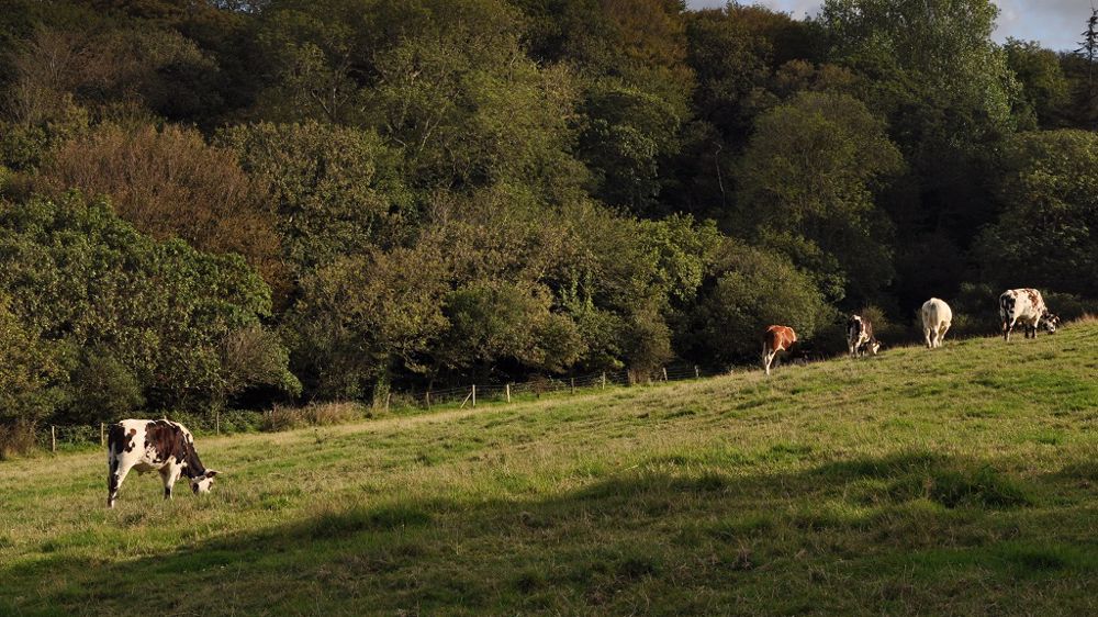 Avoir une vision globale de son système (en incluant le sol, la plante et l'animal) permet d'acquérir plus d'autonomie.