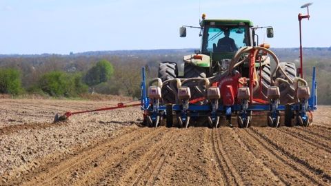 Selon le dernier rapport de l'USDA, les farmers américains sèmeraient moins de maïs qu'attendu par les marchés agricoles. (©Terre-net Média) Selon le dernier rapport de l'USDA, les farmers américains sèmeraient moins de maïs qu'attendu par les marchés agricoles. (©Terre-net Média)
