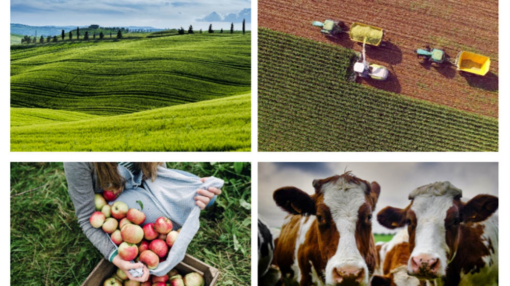 Les perspectives à court terme sont favorables pour les marchés agricoles européens, indique un rapport trimestriel de la Commission européenne. (©Commission européenne)