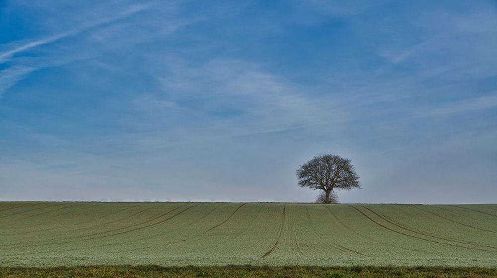 Le manque de précipitations et des basses températures inquiètent en France. (©PixaBay)<br />