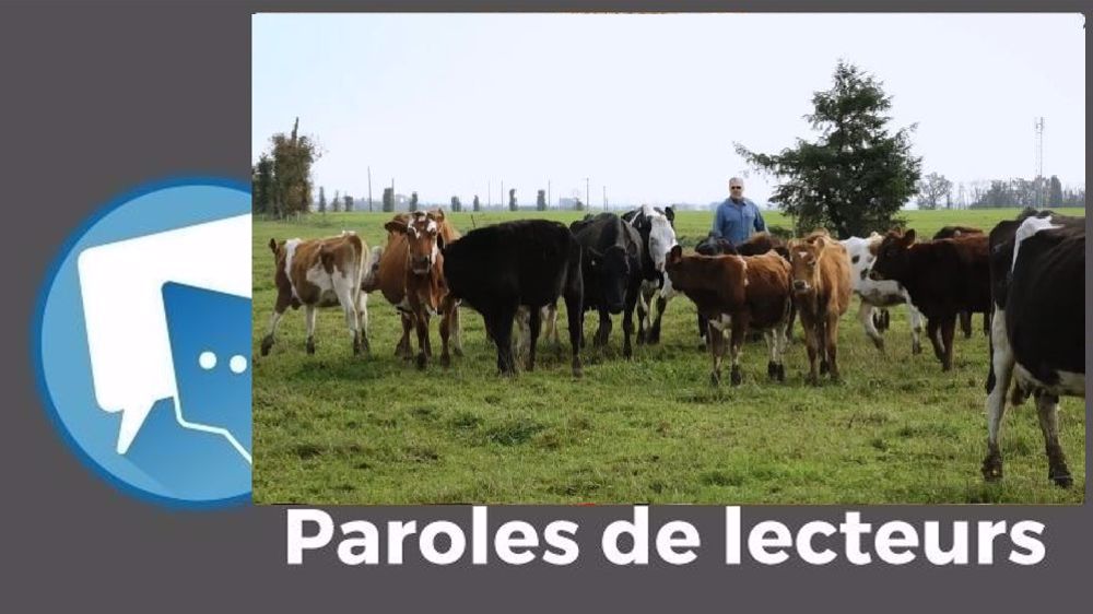 Le « système » présenté dans le reportage est « très intéressant et résiliant », estime cmbd. (©Terre-net Média)