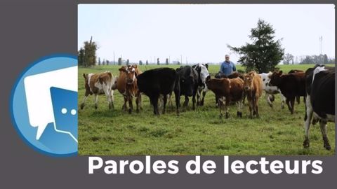 Le « système » présenté dans le reportage est « très intéressant et résiliant », estime cmbd. (©Terre-net Média) Le « système » présenté dans le reportage est « très intéressant et résiliant », estime cmbd. (©Terre-net Média)