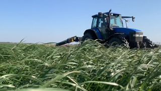 L'atteinte des 35 % de MS à l'ensilage d'herbe passe par une hauteur de fauche correcte (7 cm). (©Terre-net Média) L'atteinte des 35 % de MS à l'ensilage d'herbe passe par une hauteur de fauche correcte (7 cm). (©Terre-net Média)