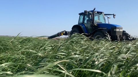 L'atteinte des 35 % de MS à l'ensilage d'herbe passe par une hauteur de fauche correcte (7 cm). (©Terre-net Média) L'atteinte des 35 % de MS à l'ensilage d'herbe passe par une hauteur de fauche correcte (7 cm). (©Terre-net Média)