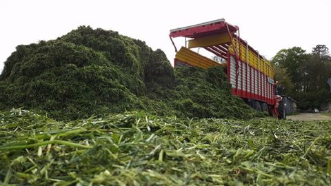 L'ensilage privilégié par les éleveurs pour la première coupe d'herbe