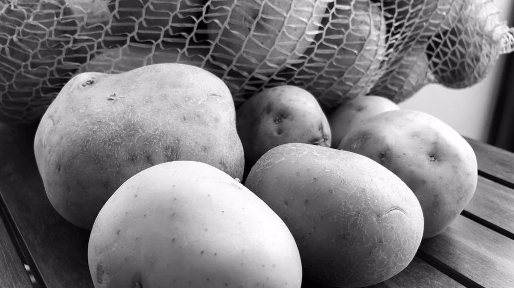 L'année noire se confirme pour les exportations françaises de pommes de terre de conservation. (©Terre-net Média)